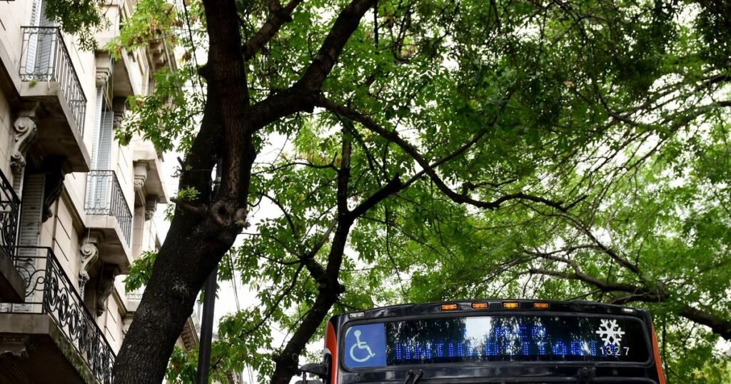 Las fuerzas políticas en La Plata superan el umbral de las PASO 2023