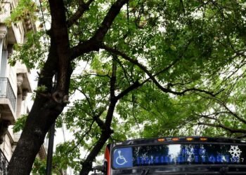 Las fuerzas políticas en La Plata superan el umbral de las PASO 2023