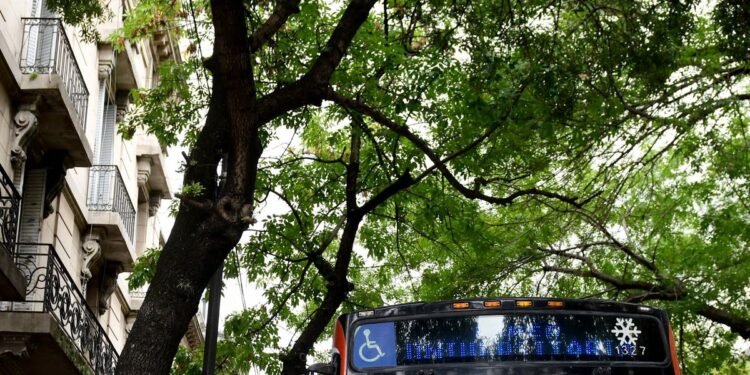 Las fuerzas políticas en La Plata superan el umbral de las PASO 2023