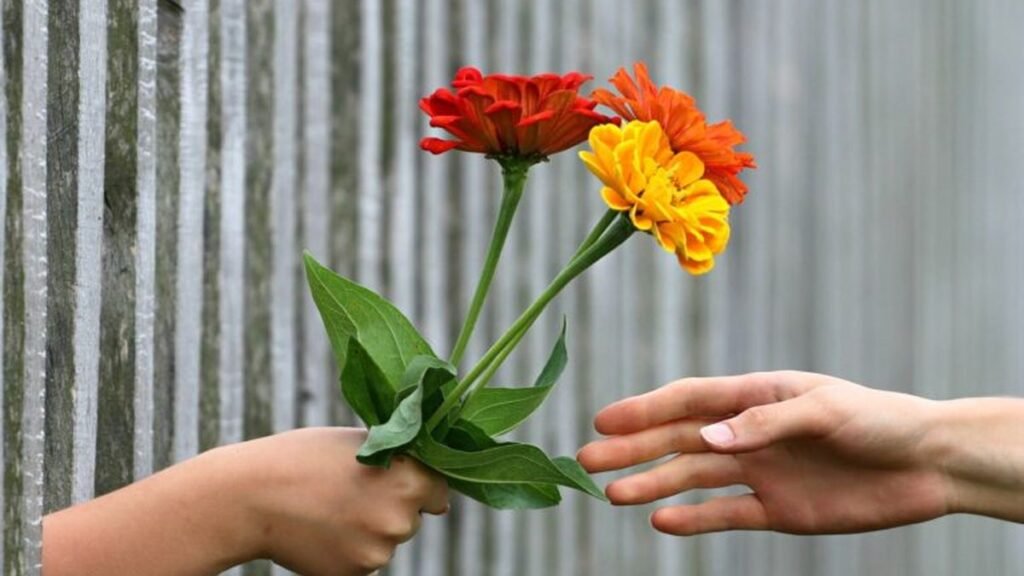 Descubre la flor de tu nacimiento y su significado para el Día de la Primavera