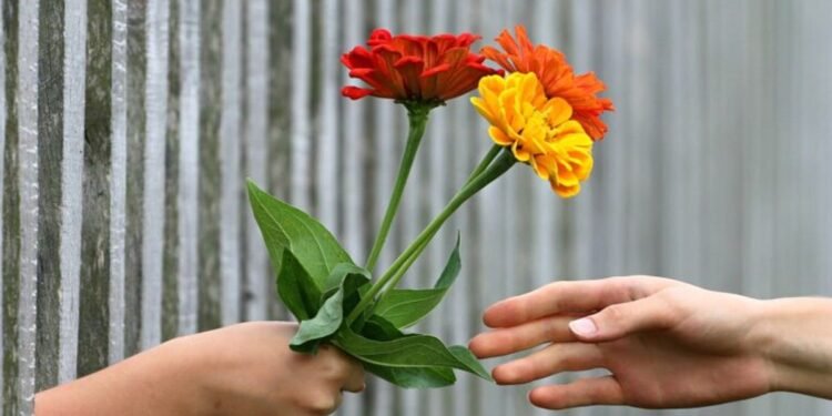 Descubre la flor de tu nacimiento y su significado para el Día de la Primavera