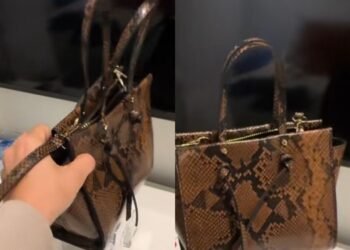 Comprador de Shein recibe un divisor de carteras que no sirve para nada