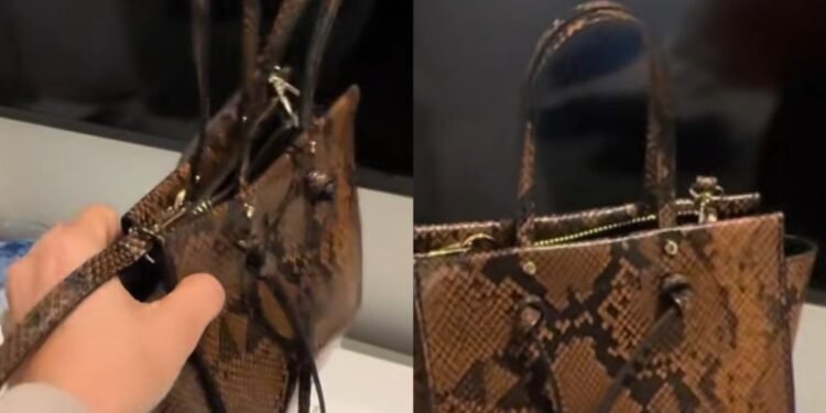 Comprador de Shein recibe un divisor de carteras que no sirve para nada