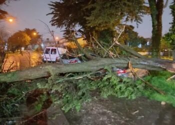 Temporal causa daños y cortes de luz en Mar del Plata y Tandil