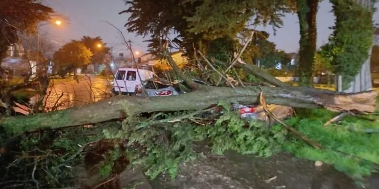 Temporal causa daños y cortes de luz en Mar del Plata y Tandil