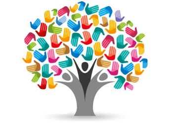 Terapia ocupacional: reconocimiento a una profesión clave en la salud