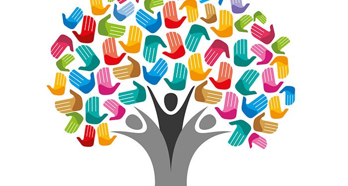 Terapia ocupacional: reconocimiento a una profesión clave en la salud