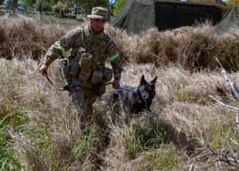 Paracaidista es rescatado en Chaco gracias a un cabo y su perro Tobi