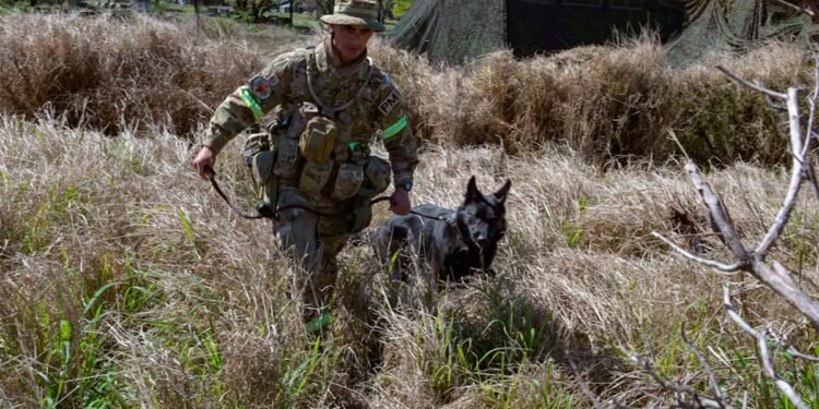 Paracaidista es rescatado en Chaco gracias a un cabo y su perro Tobi