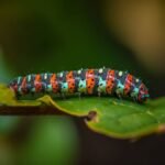 Cómo combatir las orugas en plantas de manera efectiva y económica