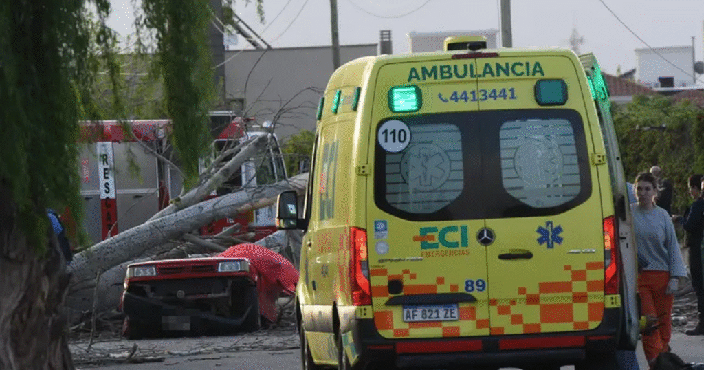 Viento Zonda causa tragedia en Mendoza: mujer muere aplastada por árbol