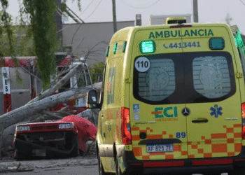 Viento Zonda causa tragedia en Mendoza: mujer muere aplastada por árbol