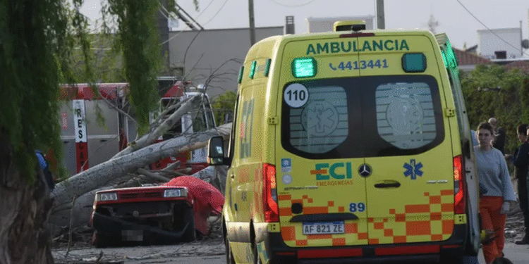 Viento Zonda causa tragedia en Mendoza: mujer muere aplastada por árbol