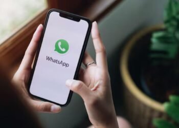 Cómo leer mensajes de WhatsApp sin activar el doble tilde azul