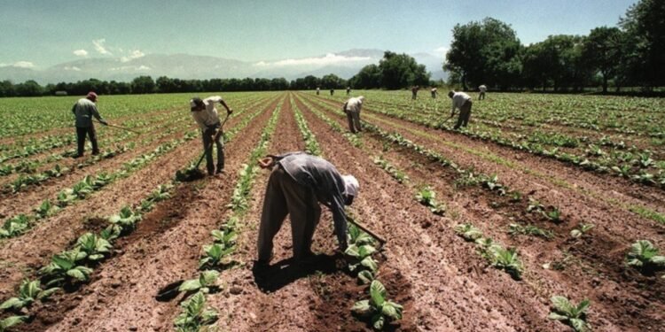 Día del Trabajador Rural: Un legado de justicia y derechos laborales en el campo