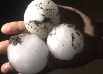 Fuerte temporal causa daños y cortes de luz en varias provincias del país durante el domingo