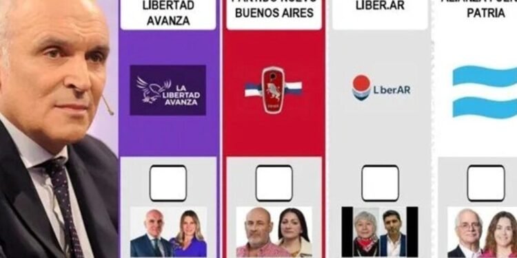 La Cámara Electoral confirma la boleta de Espert para las elecciones en PBA