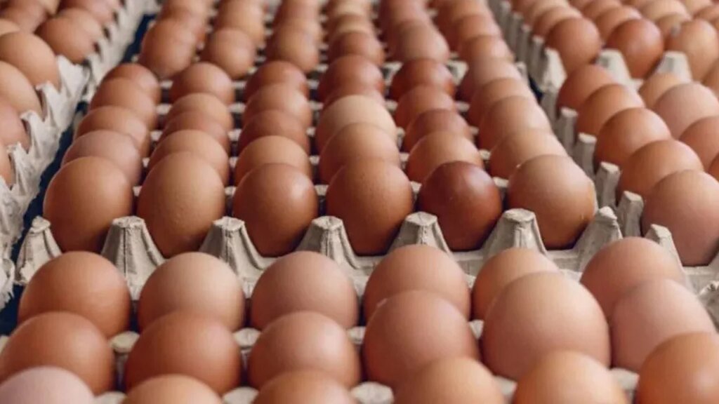 El huevo se consolida como alimento central en la dieta argentina