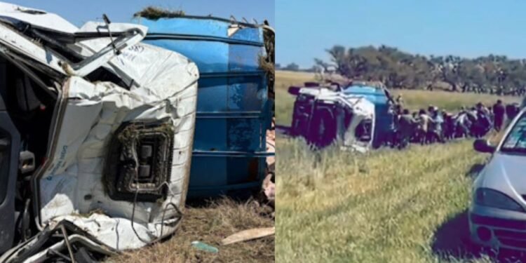 Camión con cerdos volcó en Chacabuco y conductores robaron a los animales en un triste espectáculo