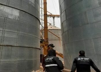 ARCA subastará 851 toneladas de cereal en Indio Rico el 24 de octubre