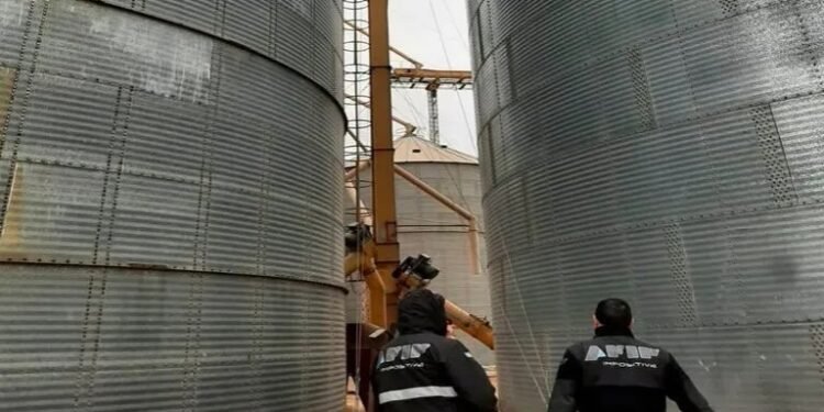 ARCA subastará 851 toneladas de cereal en Indio Rico el 24 de octubre