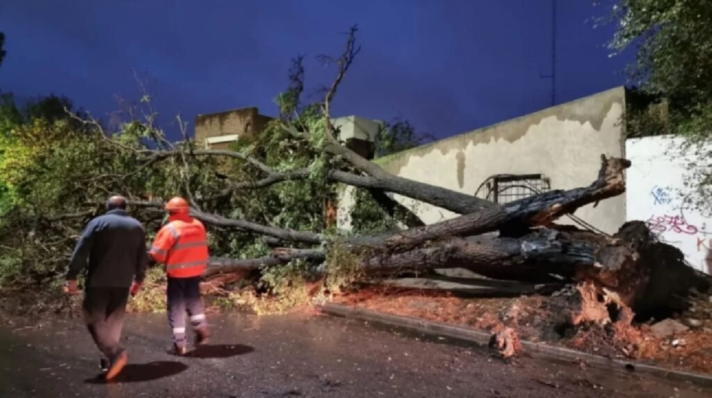 Temporal golpea la Provincia de Buenos Aires: daños severos en Benito Juárez y Laprida