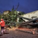 Temporal golpea la Provincia de Buenos Aires: daños severos en Benito Juárez y Laprida