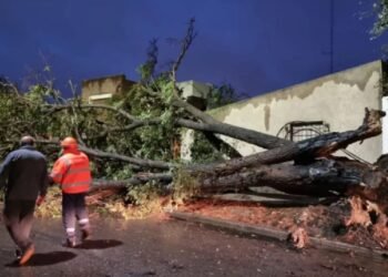 Temporal golpea la Provincia de Buenos Aires: daños severos en Benito Juárez y Laprida