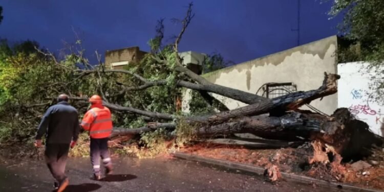 Temporal golpea la Provincia de Buenos Aires: daños severos en Benito Juárez y Laprida