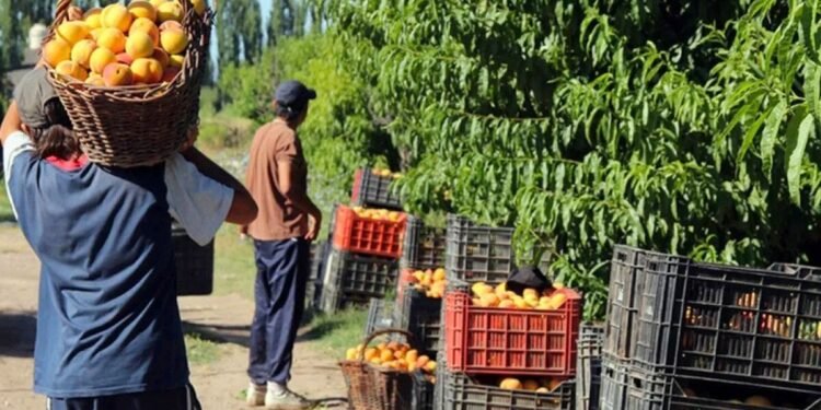 Letcher: “Milei prioriza sectores sin empleo y descuida la industria”