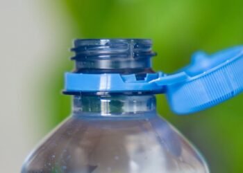 Creatividad y reciclaje: siete usos innovadores para botellas plásticas