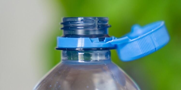 Creatividad y reciclaje: siete usos innovadores para botellas plásticas