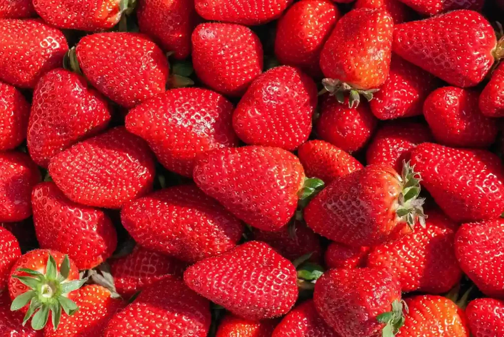 Frutillas frescas: el sabor de la primavera se adueña de Buenos Aires