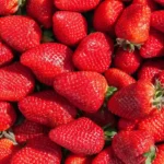 Frutillas frescas: el sabor de la primavera se adueña de Buenos Aires