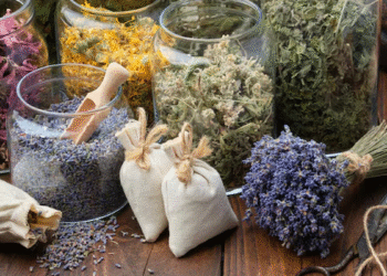 Aromatiza tu hogar de forma natural: tips sencillos y económicos