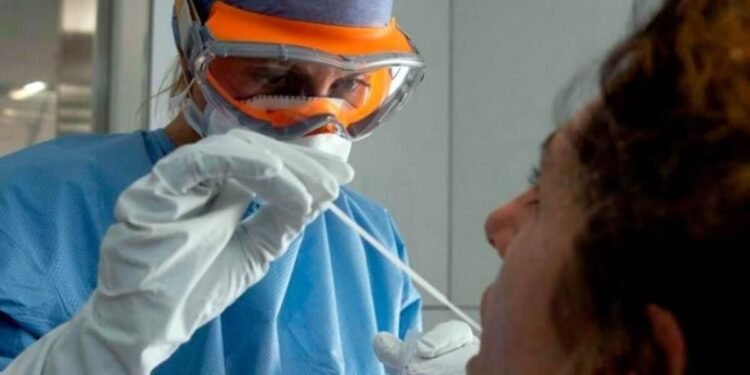 La UNLP lanzará un registro de donantes de médula ósea sin extracción de sangre