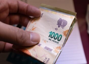 Anses: ¿Quiénes cobran hoy y qué beneficios están disponibles?