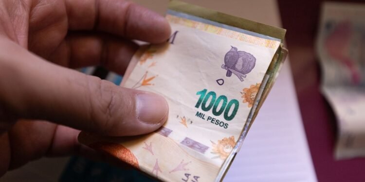 Anses: ¿Quiénes cobran hoy y qué beneficios están disponibles?