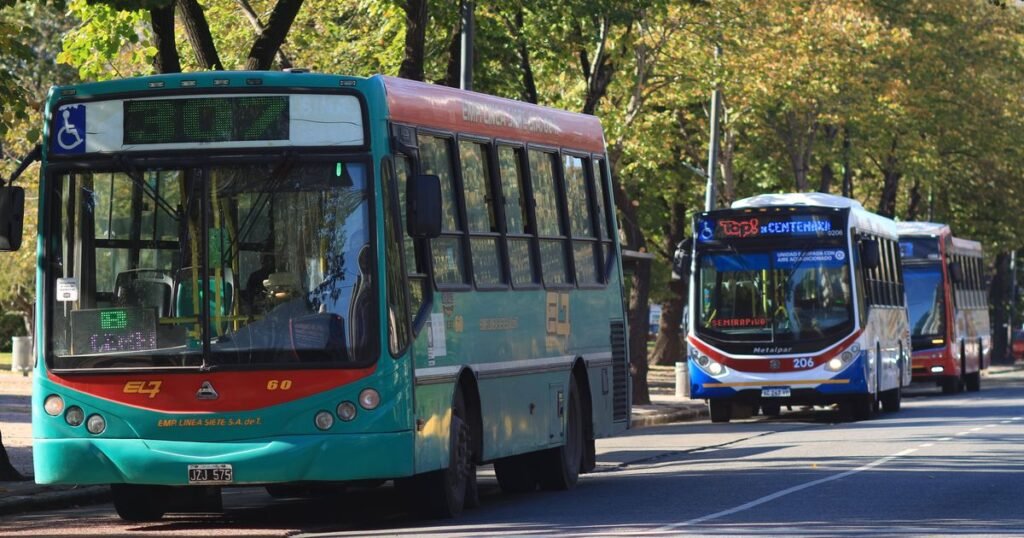Aumentan las tarifas de colectivos en La Plata desde noviembre: ¿cuánto costarán?