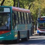 Aumentan las tarifas de colectivos en La Plata desde noviembre: ¿cuánto costarán?