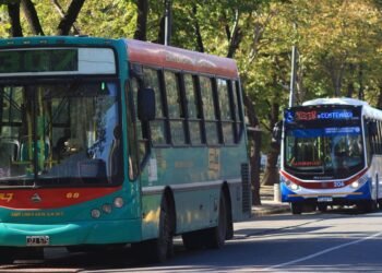 Aumentan las tarifas de colectivos en La Plata desde noviembre: ¿cuánto costarán?