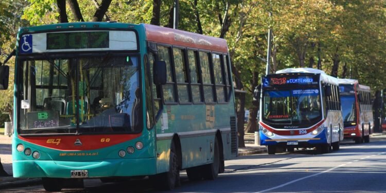 Aumentan las tarifas de colectivos en La Plata desde noviembre: ¿cuánto costarán?