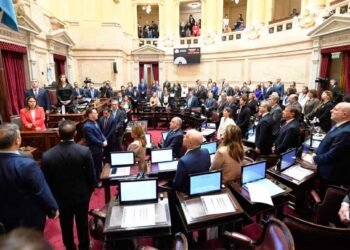 El Senado rechaza vetos a financiamiento universitario y hospital Garrahan