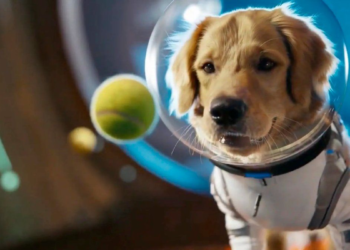 OpenAI lanza Sora 2 para competir con TikTok y Meta en videos cortos