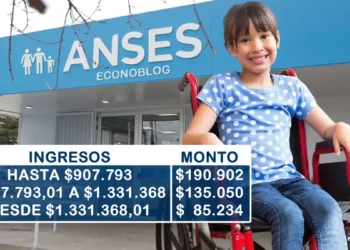 Se confirmaron los nuevos montos de la asignación por hijo con discapacidad