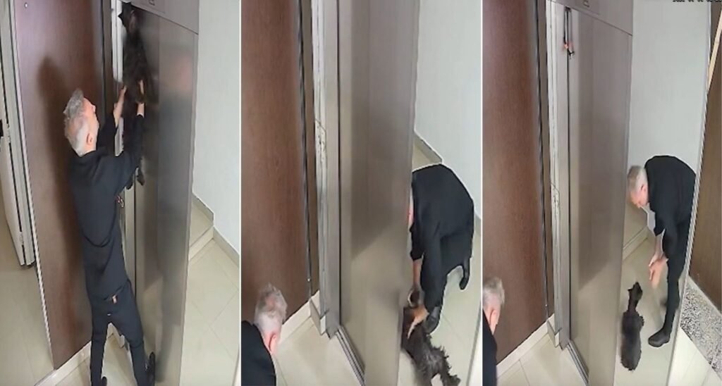 Vecino salva a perro colgado de ascensor con RCP en Villa Crespo