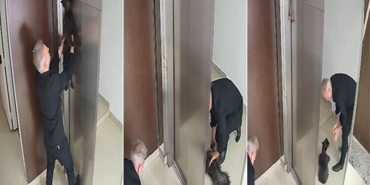 Vecino salva a perro colgado de ascensor con RCP en Villa Crespo
