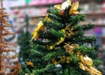 Cuenta DNI: cuáles son los descuentos especiales por Navidad y Reyes