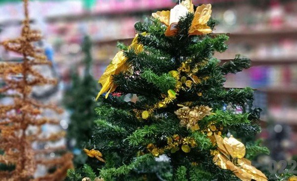 Cuenta DNI: cuáles son los descuentos especiales por Navidad y Reyes