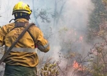 Fiscalía investiga origen de incendios en Epuyén tras devastar 260 hectáreas